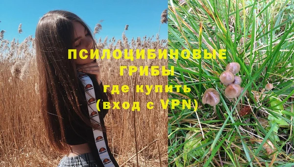 гашишное масло Горняк