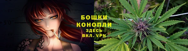 apvp Горнозаводск