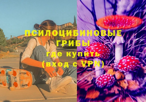apvp Горнозаводск