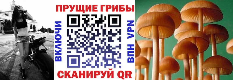 Псилоцибиновые грибы MAGIC MUSHROOMS Владикавказ