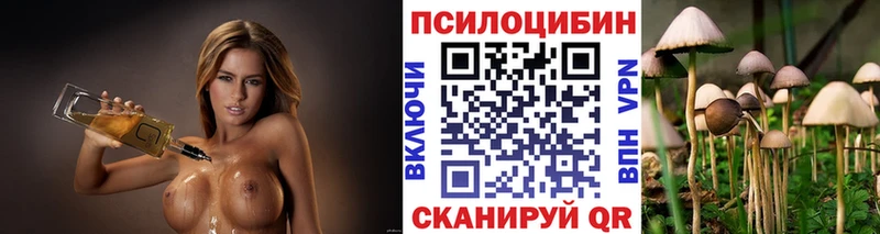 Псилоцибиновые грибы мицелий  Владикавказ 